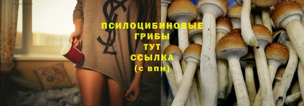 герыч Бронницы