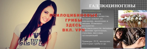 герыч Бронницы