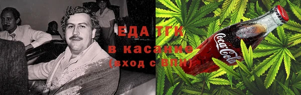 сатива Туринск
