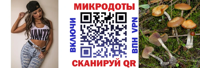 Псилоцибиновые грибы мухоморы Кизел