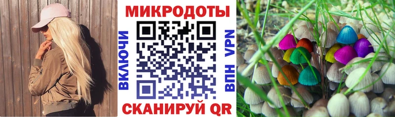 Галлюциногенные грибы мицелий  купить наркотик  Кизел 